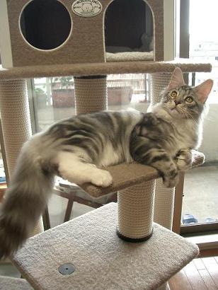 20090810230028fee.jpg