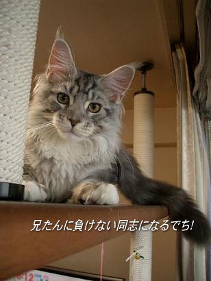 20090822083330a54.jpg