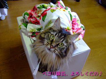 2009_06280066.jpg