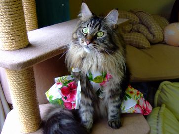 2009_06280084.jpg