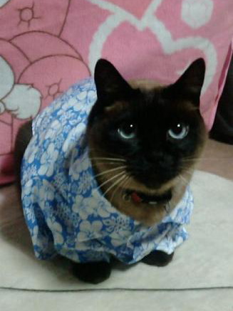 20100313214657.jpg