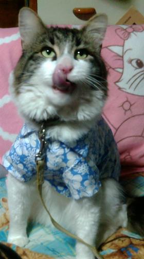 20100314000005.jpg