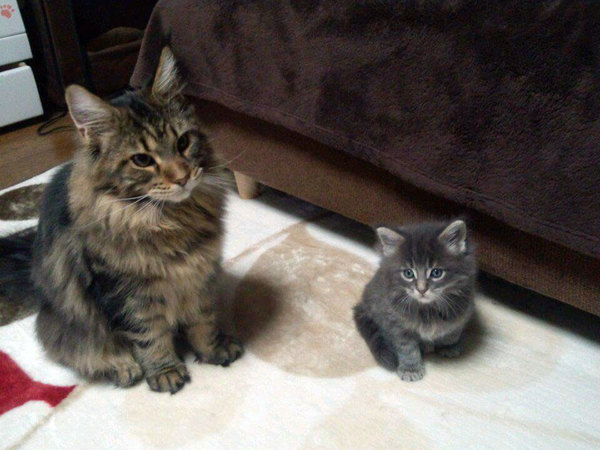 2012_12_8.jpg