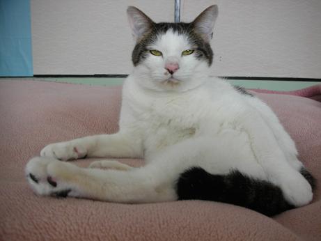 ちい.jpg