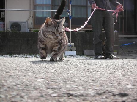 はる.jpg
