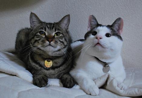 ショーン&ロビン.jpg
