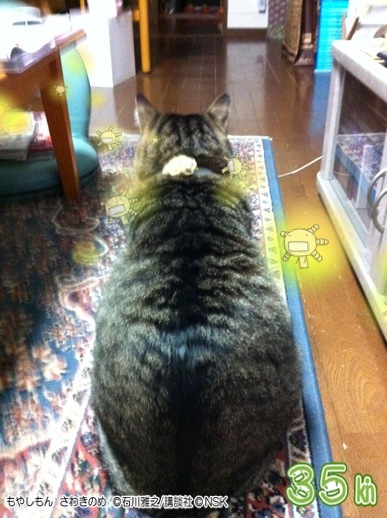 画像 001.jpg