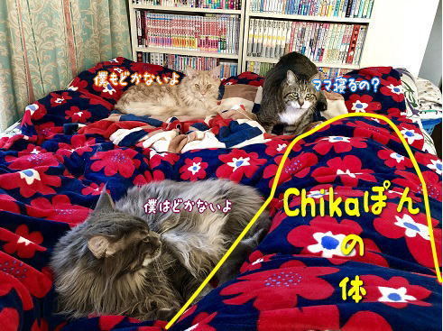 IMG_0928.jpeg
