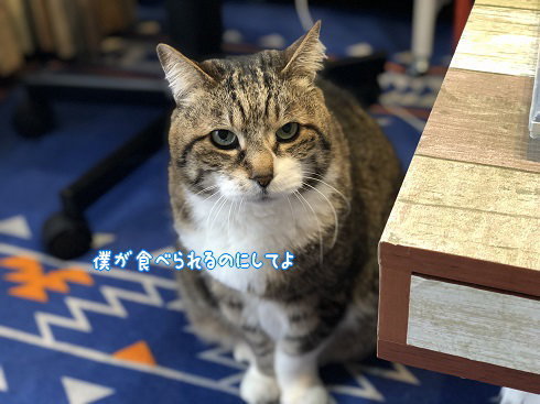 IMG_1128.jpeg