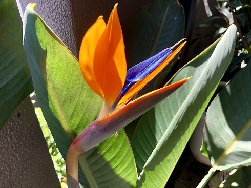 IMG_1170.jpeg