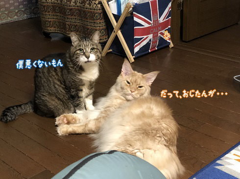 IMG_1468.jpeg