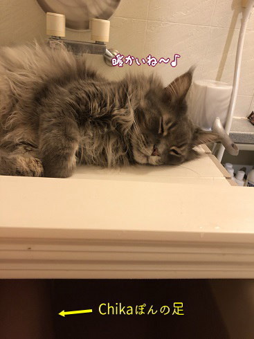 IMG_3396.jpeg