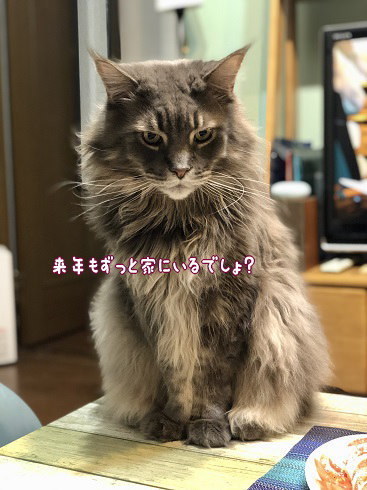 IMG_3510.jpeg