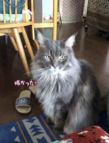 IMG_3722.jpeg