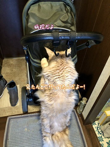 IMG_3969.jpeg