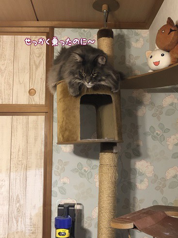 IMG_4060.jpeg