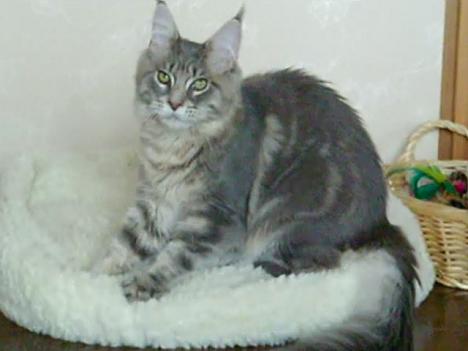 SANY0244.jpg