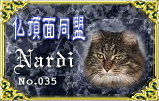 bucho035.jpg