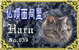 bucho039.jpg