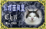 bucho040.jpg