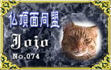 bucho074.jpg