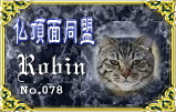 bucho078.jpg