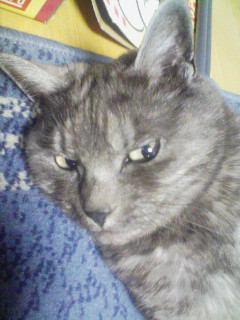 fuku-photo1.jpg