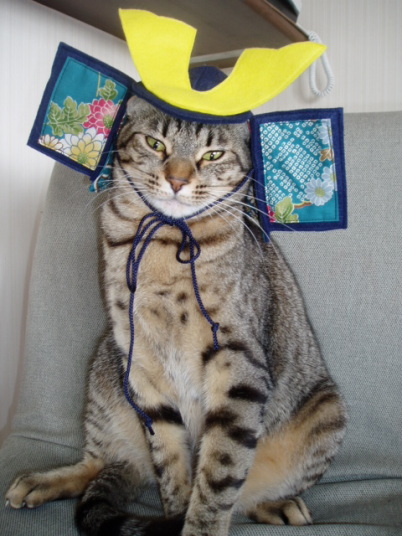 gogatu9.jpg