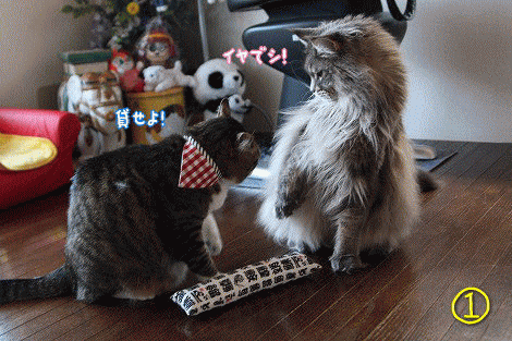 raipeko-0428.gif