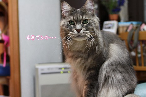 s-11031507.jpg