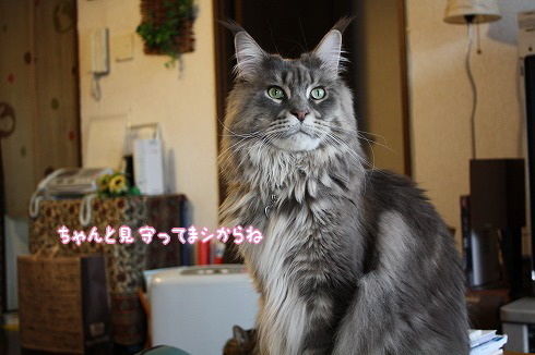s-12090813.jpg