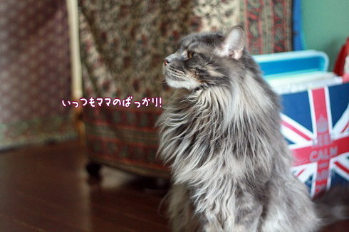 s-IMG_6911.jpg