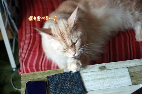 s-IMG_6930.jpg
