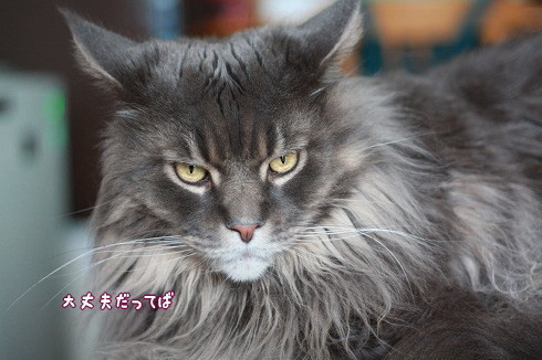 s-IMG_6931.jpg