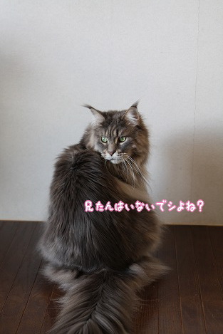 s04170010.jpg