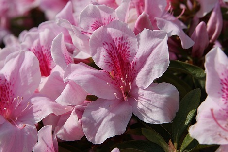 s05030257.jpg