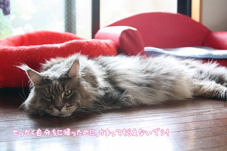 s07100600.jpg