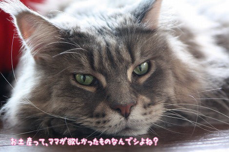 s07100603.jpg