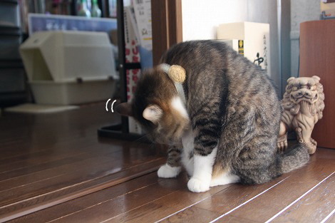 s09040932.jpg