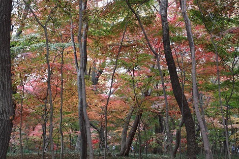 s11287643.jpg