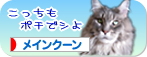 peko-banner03.jpg