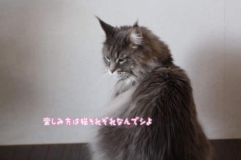 s04170013.jpg